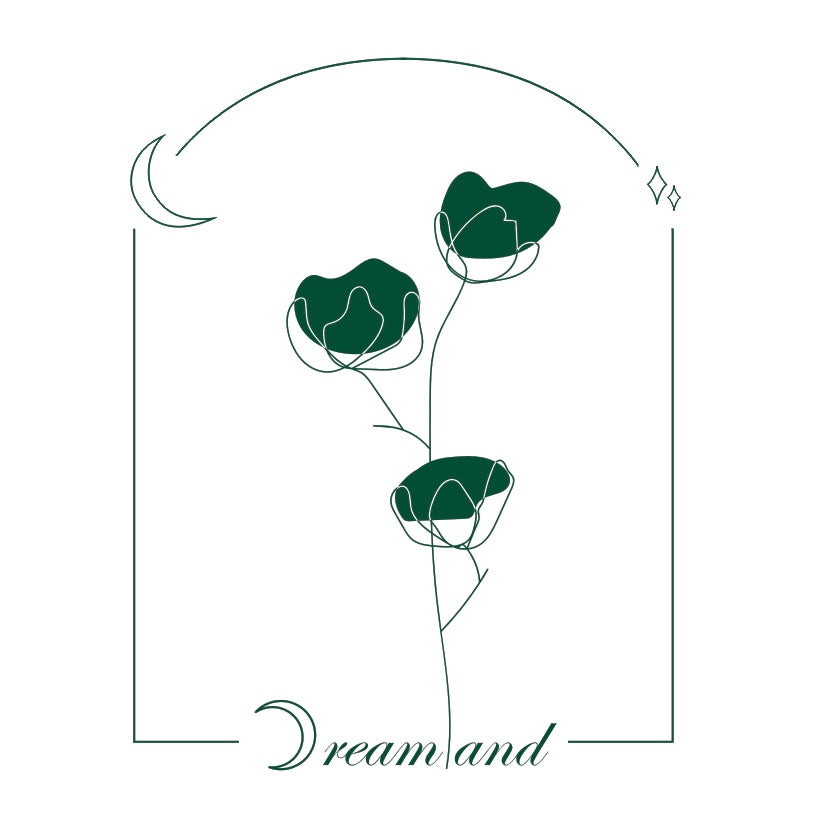 Dreamland Homes