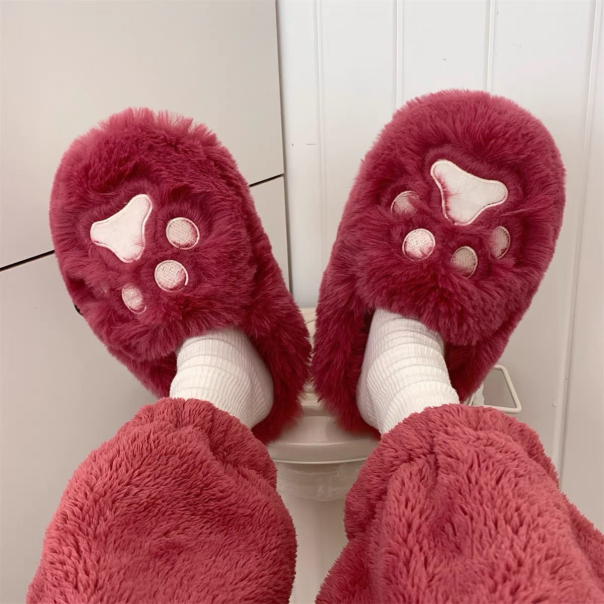 Winter Slippers - Lotso